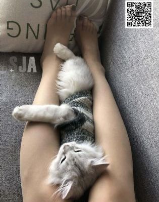 手机毛片网站_720BD在线观看